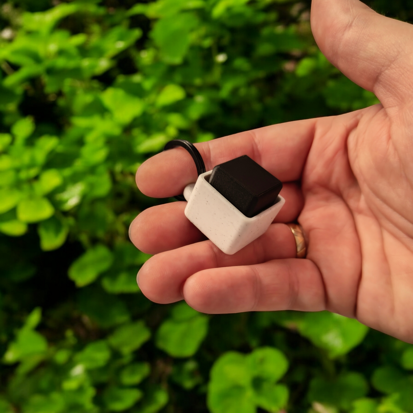 ClickyCube – Het speelgoed dat klikt met jong en oud!